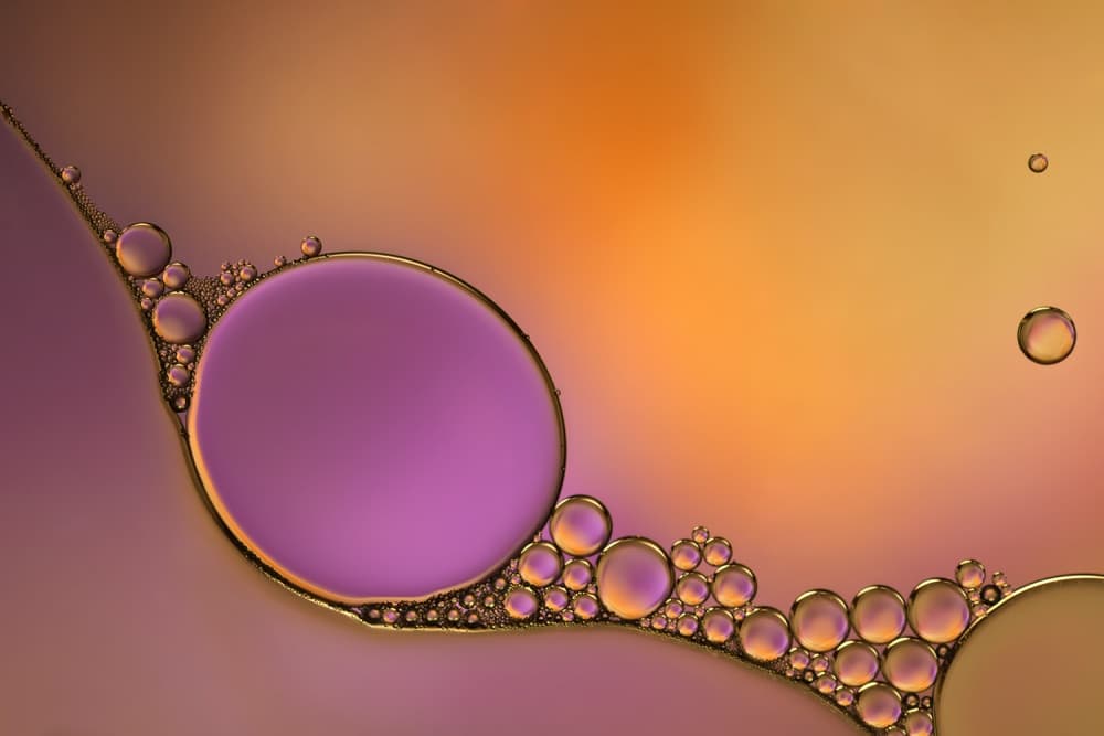 Vibrant Fluid Bubbles by Heidi Westum — canvas wall art