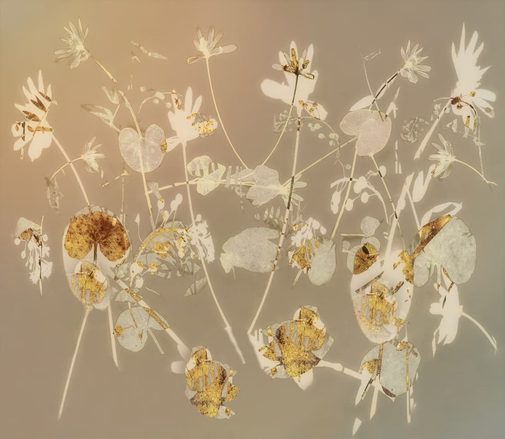 Happy flowers by Nel Talen — canvas wall art