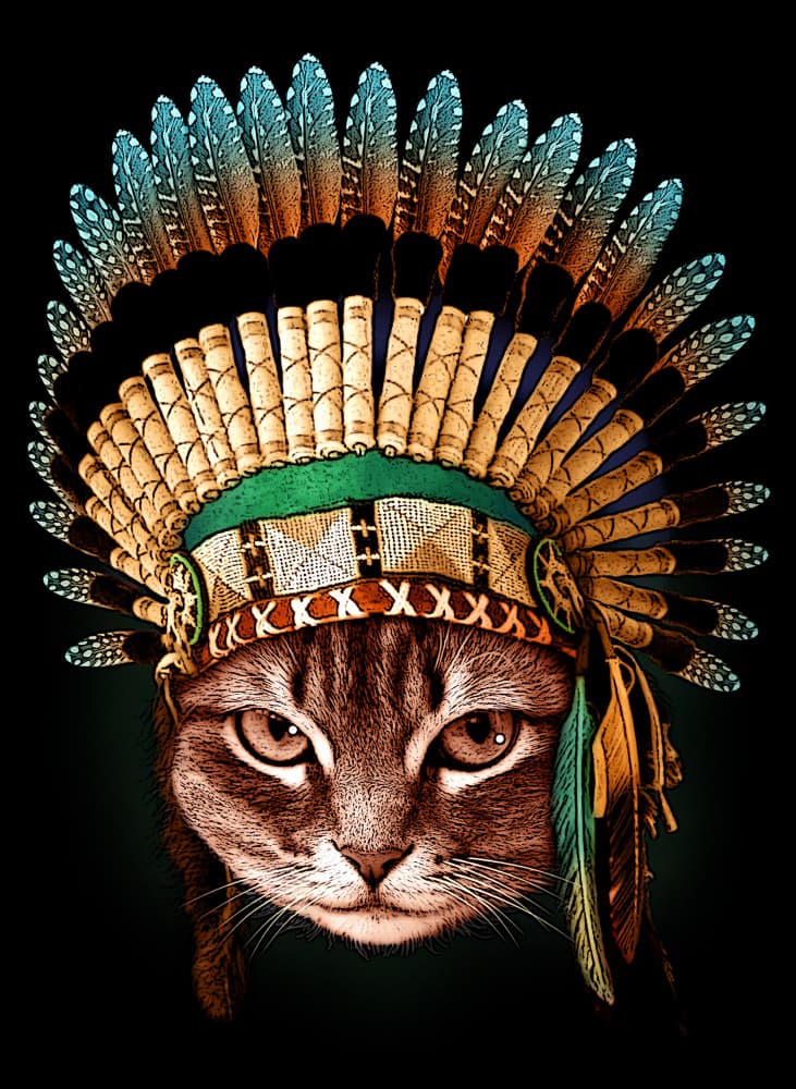 Majestic Cat Chief by Adam Lawless — canvas wall art