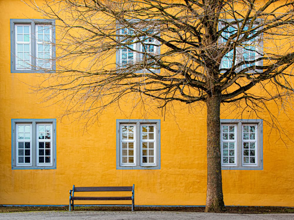 Yellow Building and Tree by Roland M Schwerdtfeger — canvas wall art