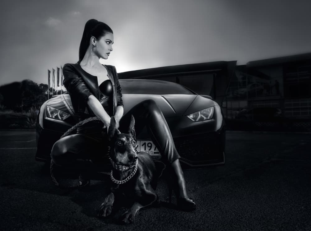Stylish Woman Doberman Car by Vasil Nanev — canvas wall art
