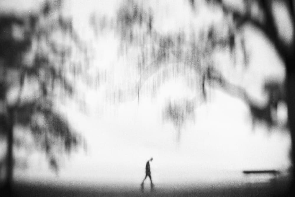 Solitary Walk Among Trees by Cindy Liu — canvas wall art