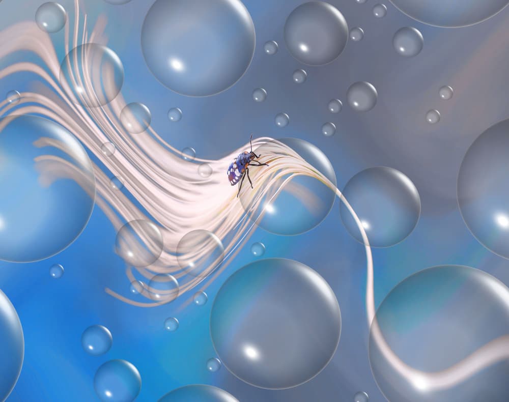 Floating Bug Bubbles by Thierry Dufour — canvas wall art