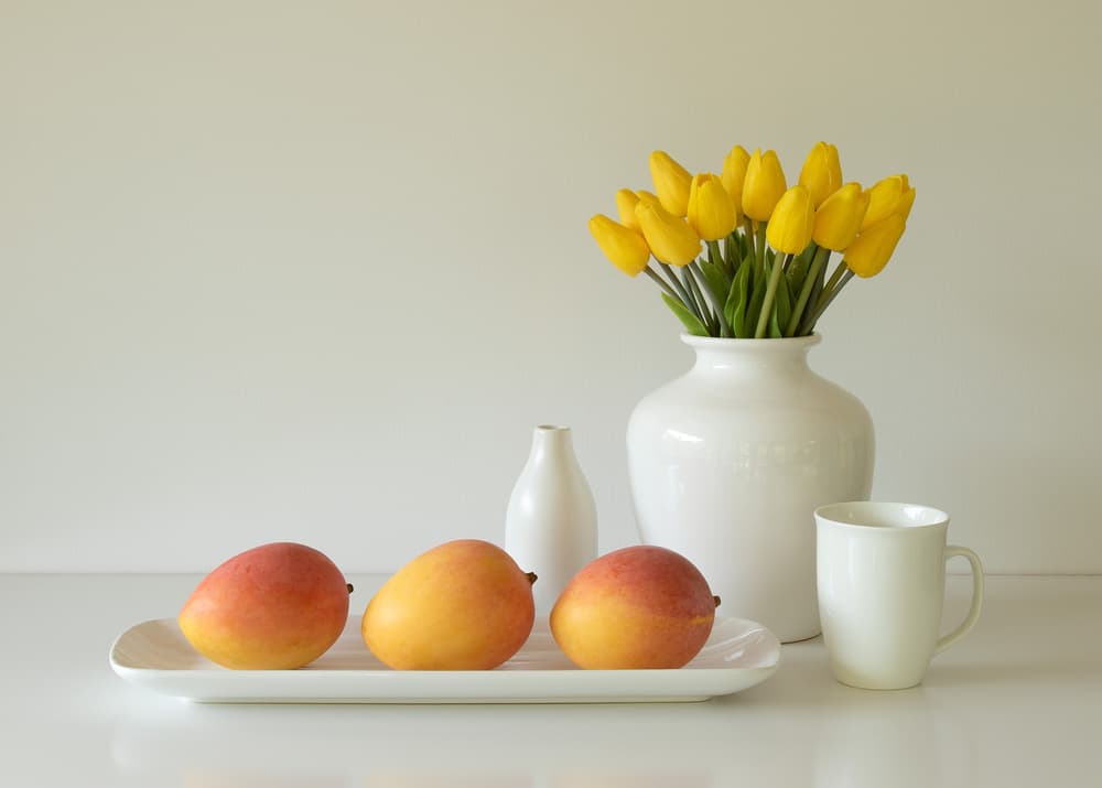 Tulips and Tropical Mangos by Jacqueline Hammer — canvas wall art