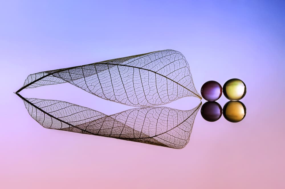 Serene Leaf and Spheres by Edy Pamungkas — canvas wall art