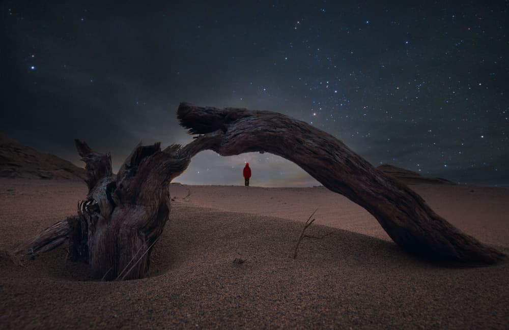 Desert Night Wanderer by YANGYING — canvas wall art