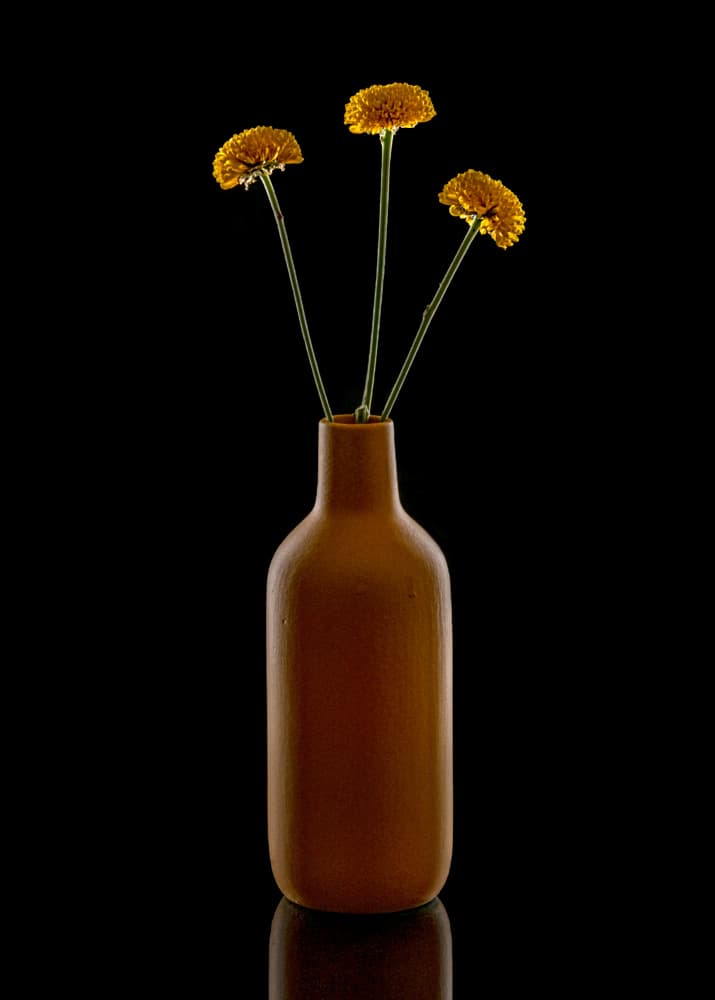 Warm Flowers Brown Vase by Louie Luo — canvas wall art
