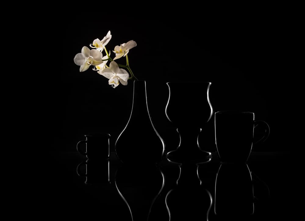 Elegant Orchid Silhouettes by Margareth Perfoncio — canvas wall art
