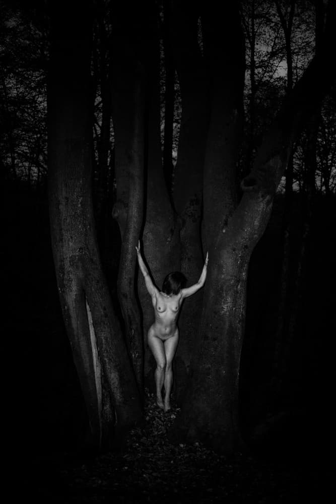 Mystic Forest Embrace by Leszek Paradowski — canvas wall art