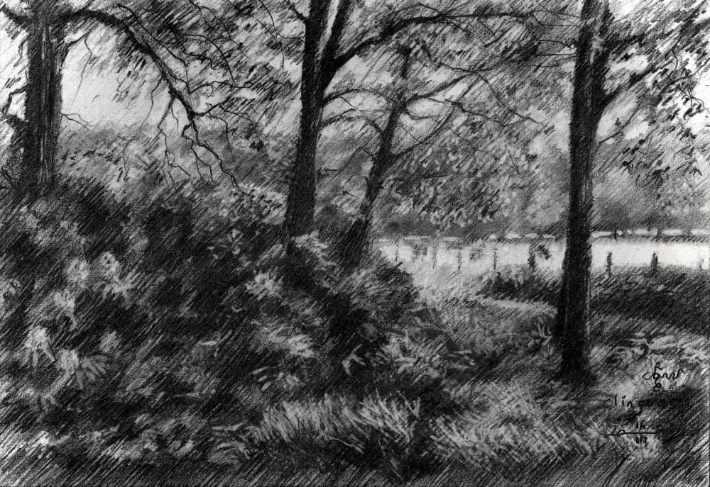 Peaceful Forest Lake by Corné Akkers — canvas wall art