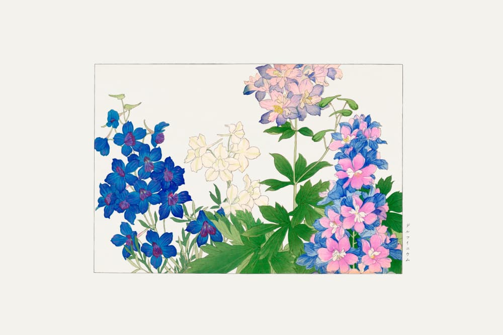 Delphinium Flower by Tanigami Konan — canvas wall art