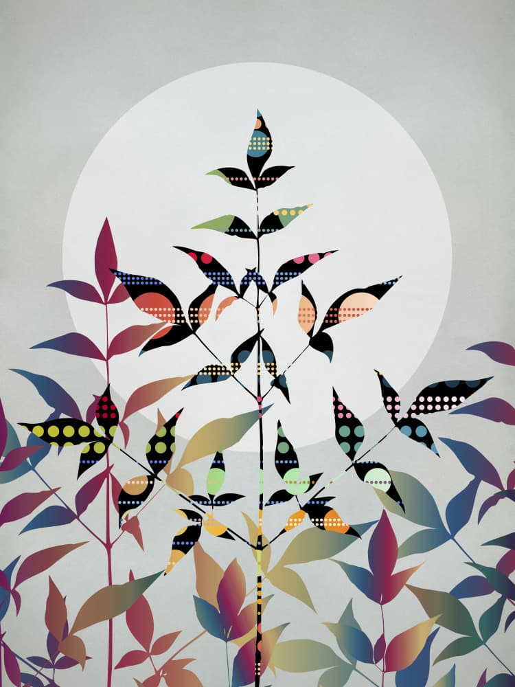 Vibrant Nature Abstraction by Angelo Cerantola — canvas wall art