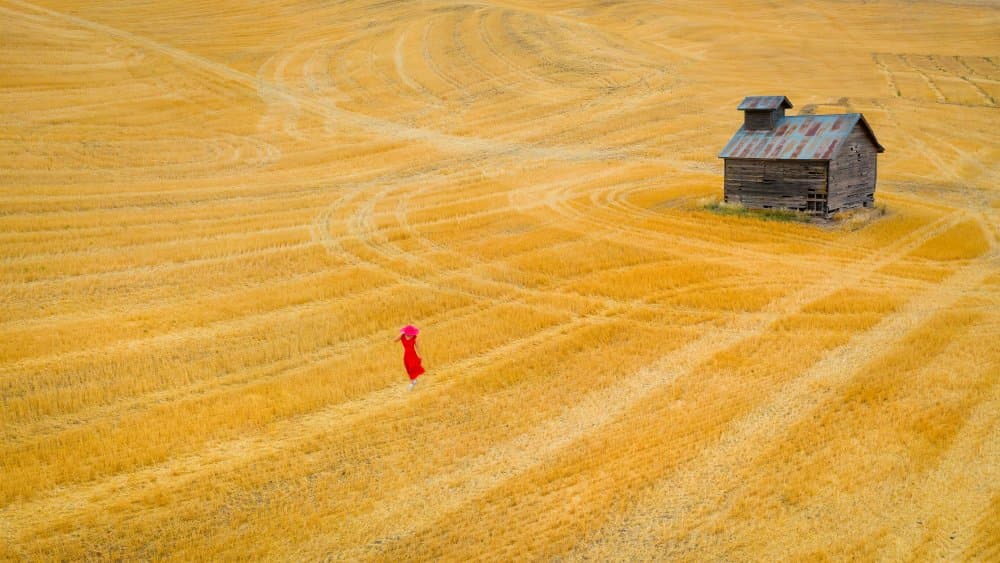 Red Dress Golden Field by John J. Chen — canvas wall art