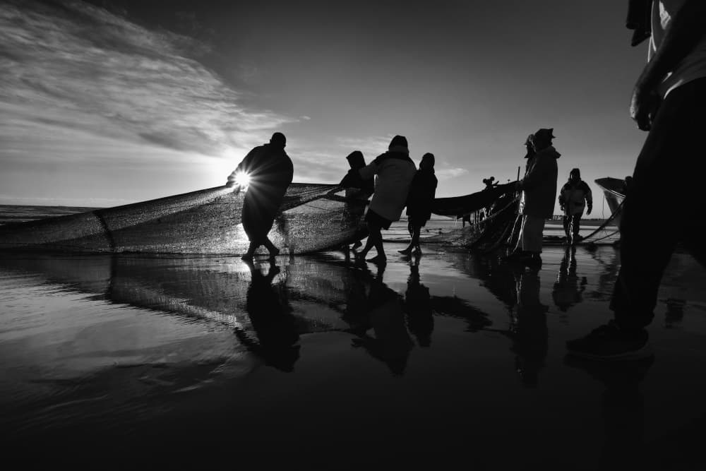 Coastal Fishing Silhouettes by Josefina Melo — canvas wall art