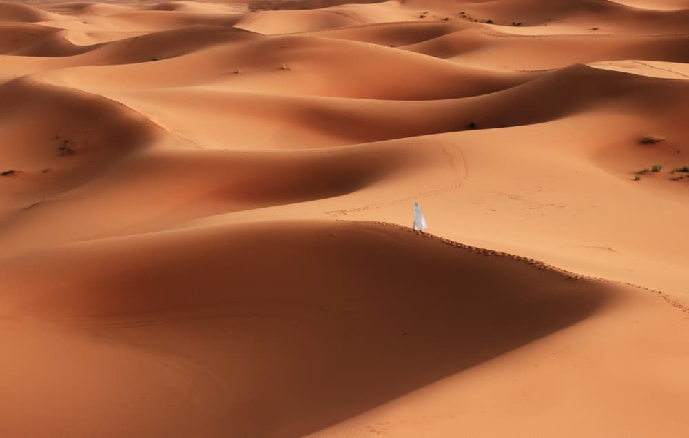 Sahara desert by Clas Gustafson PRO — canvas wall art