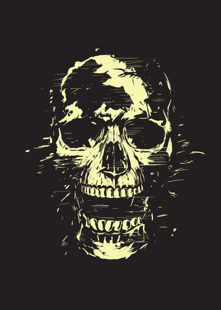 Screaming Grunge Skull by Balazs Solti — canvas wall art