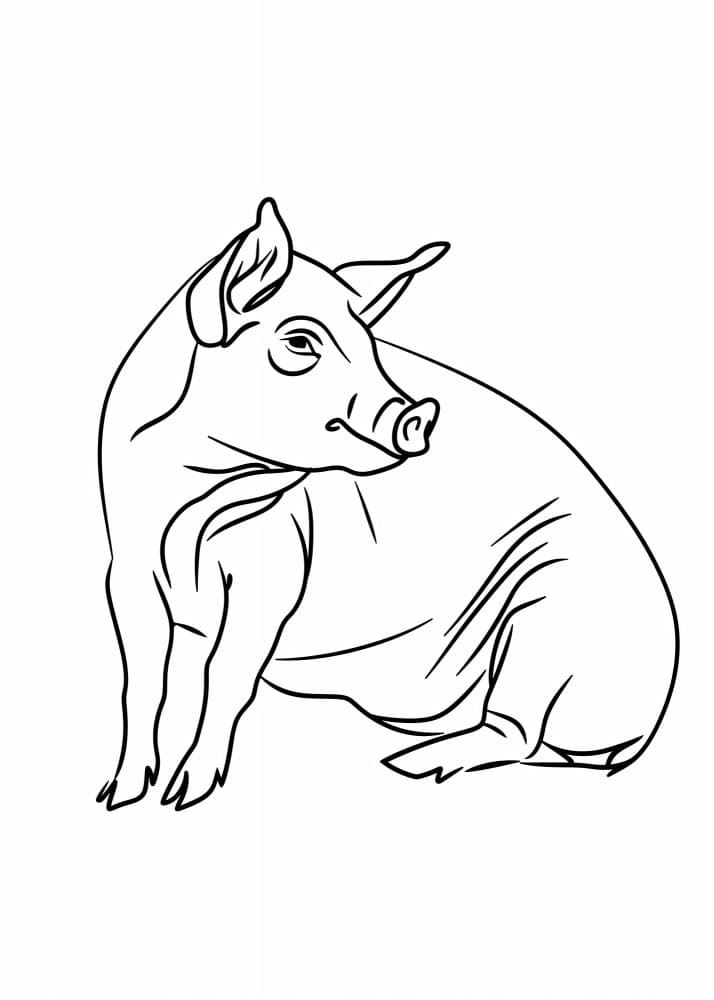 Cute Sitting Pig by Justyna Jaszke — canvas wall art