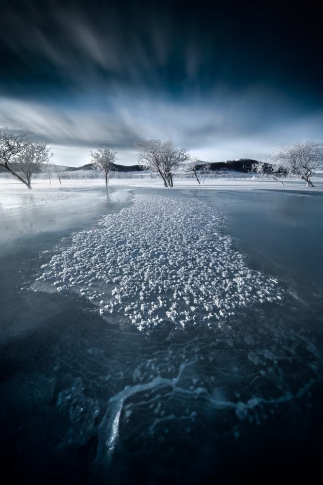 Ethereal Frozen Path by Songlin Xu — canvas wall art