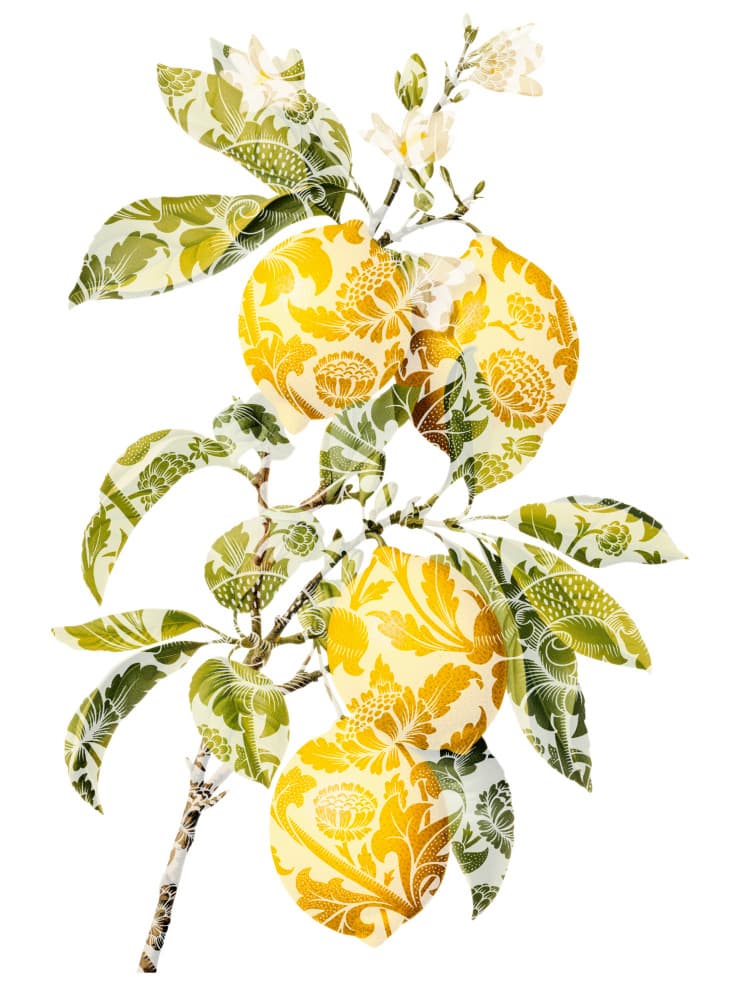 Golden Patterned Lemons by Marja van den Hurk — canvas wall art