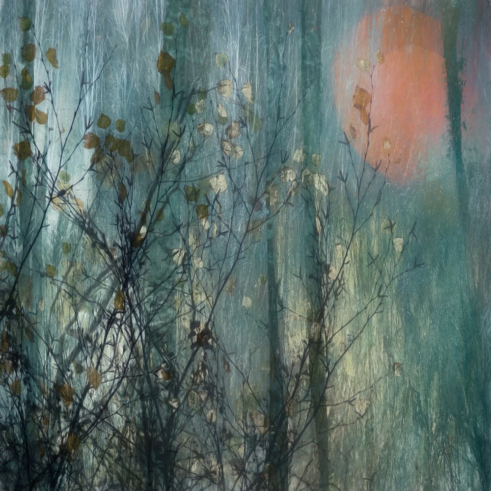 Full moon by Nel Talen — canvas wall art