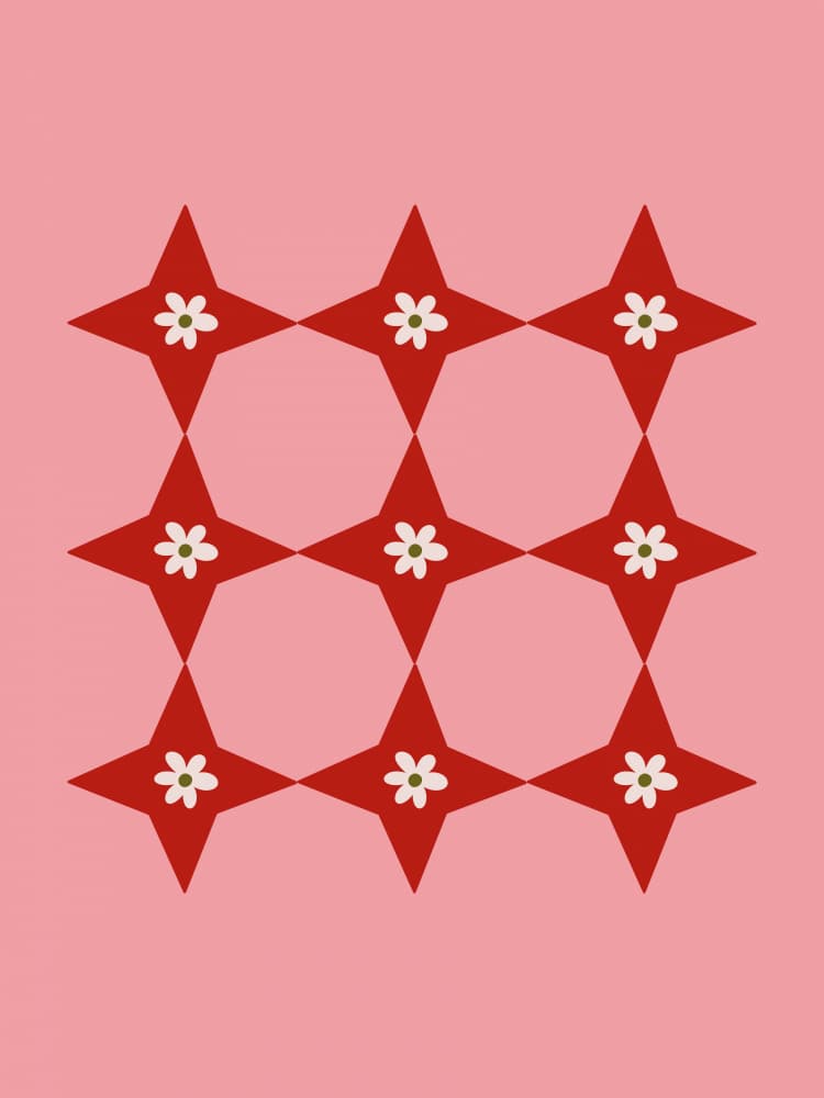 Sweet Floral Stars by Galaxy Eyes — canvas wall art