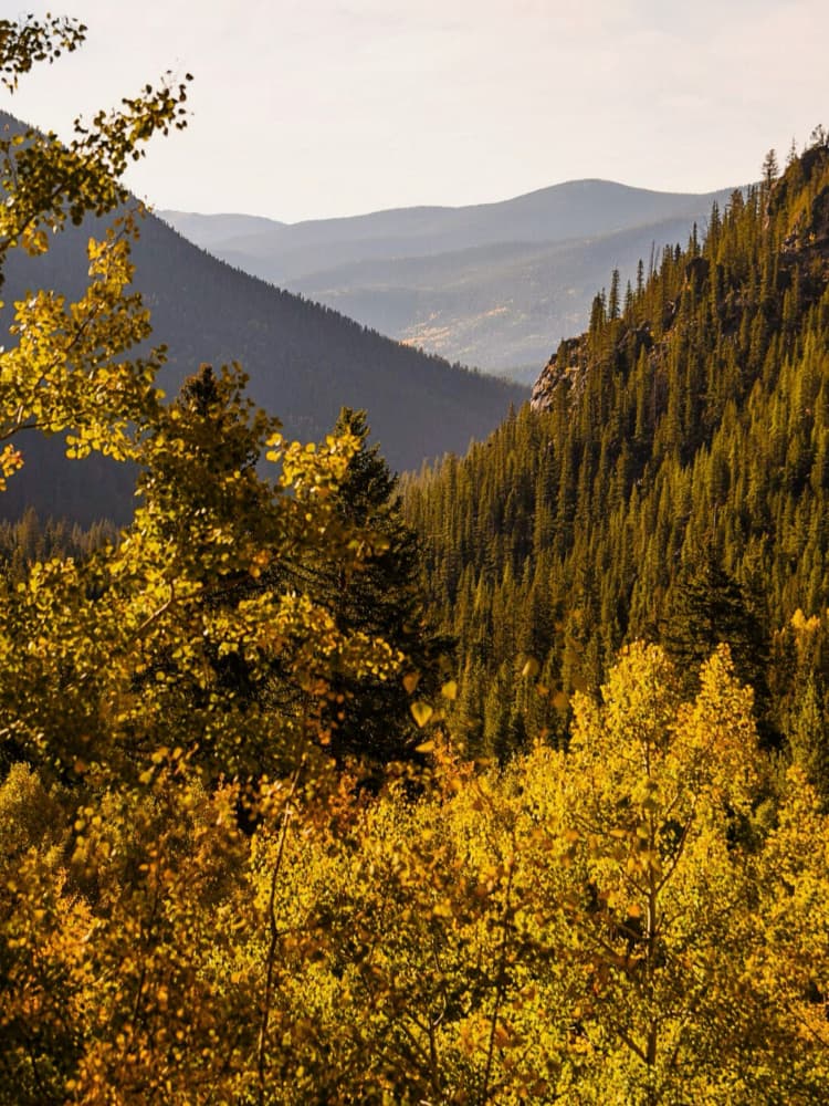 Golden Mountain Valley by Del Mundo Imagery — canvas wall art