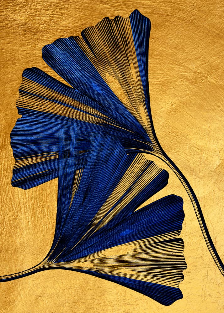 Golden Blue Ginkgo by Justyna Jaszke — canvas wall art