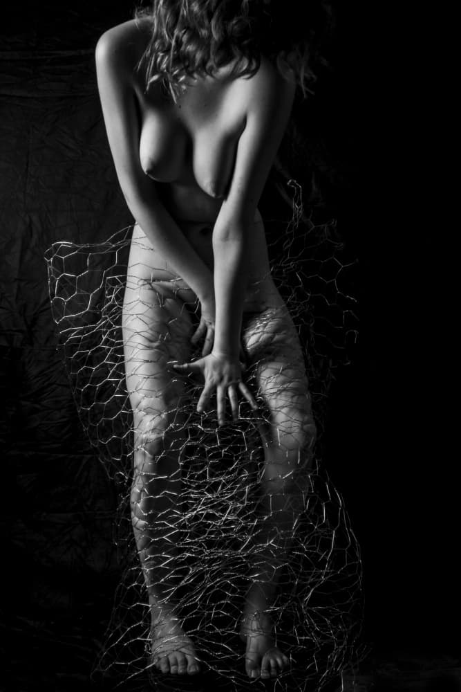 Wire Mesh Nude by Bogdan Bouşcă — canvas wall art