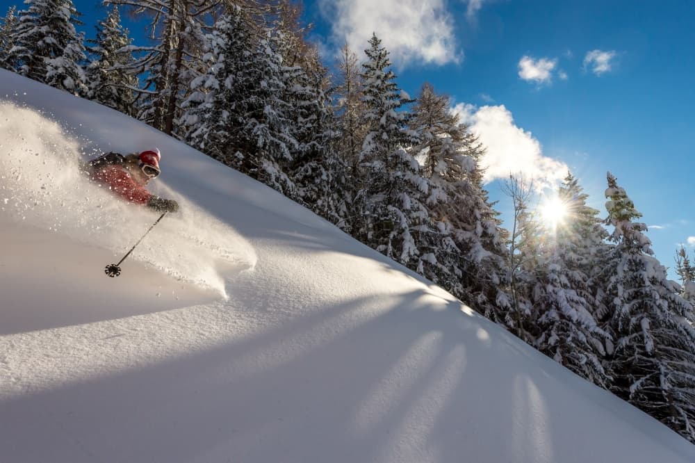 Powder Skiing Sunburst by Tristan Shu — canvas wall art