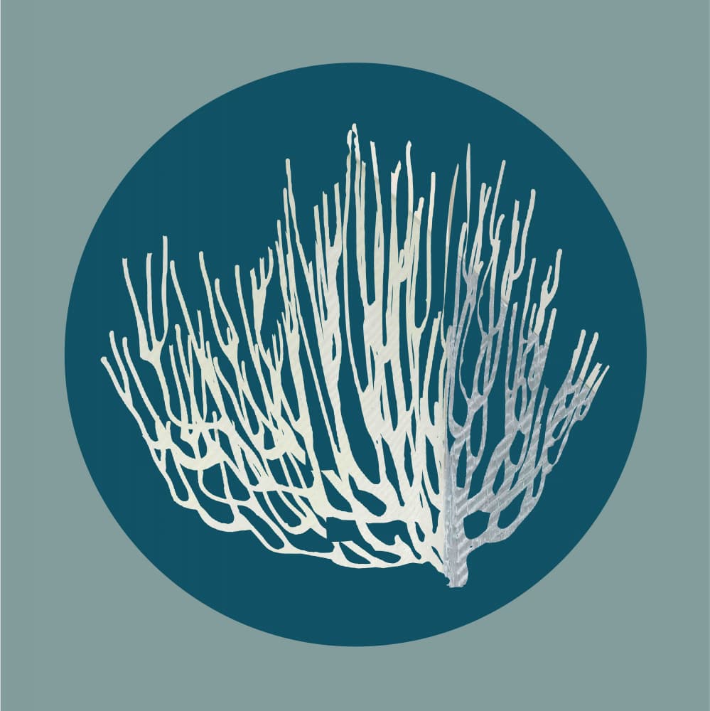 White Marine Coral by casa cartissi — canvas wall art