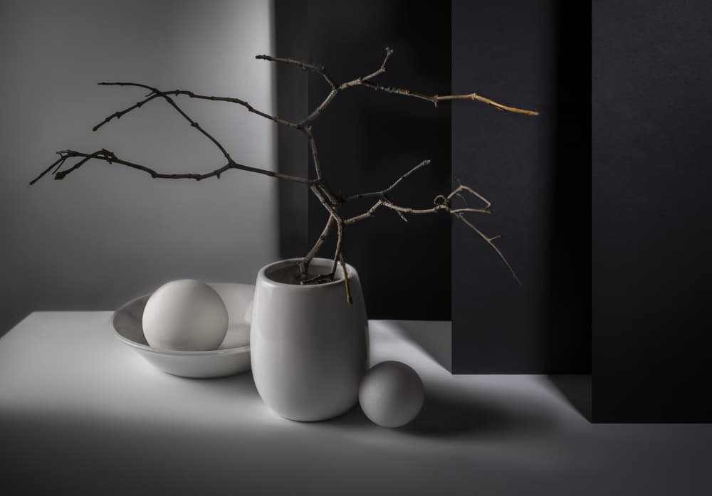 Monochrome Branches And Spheres by Evgeniy Popov — canvas wall art