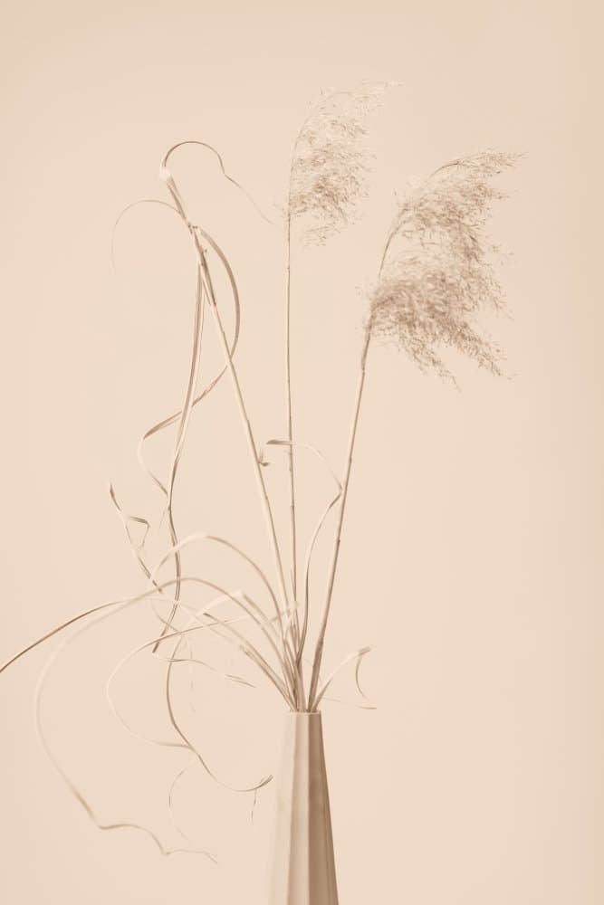 Dried Grass Vase Beige by Pictufy Studio III — canvas wall art