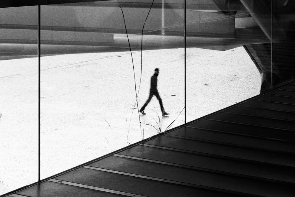 Solitary Walker Through Glass by Paulo Abrantes — canvas wall art