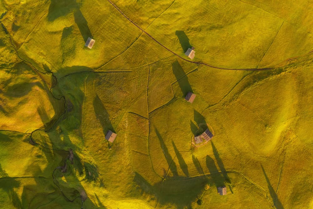 Golden Fields Shadows by Ales Krivec — canvas wall art