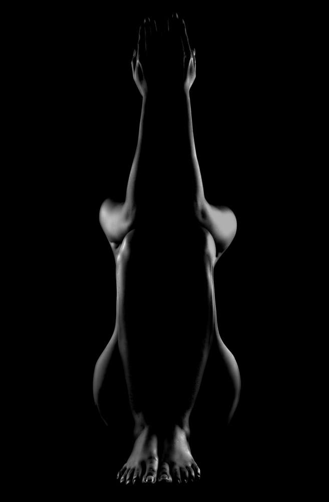 Graceful Dark Silhouette by Prithul Das — canvas wall art