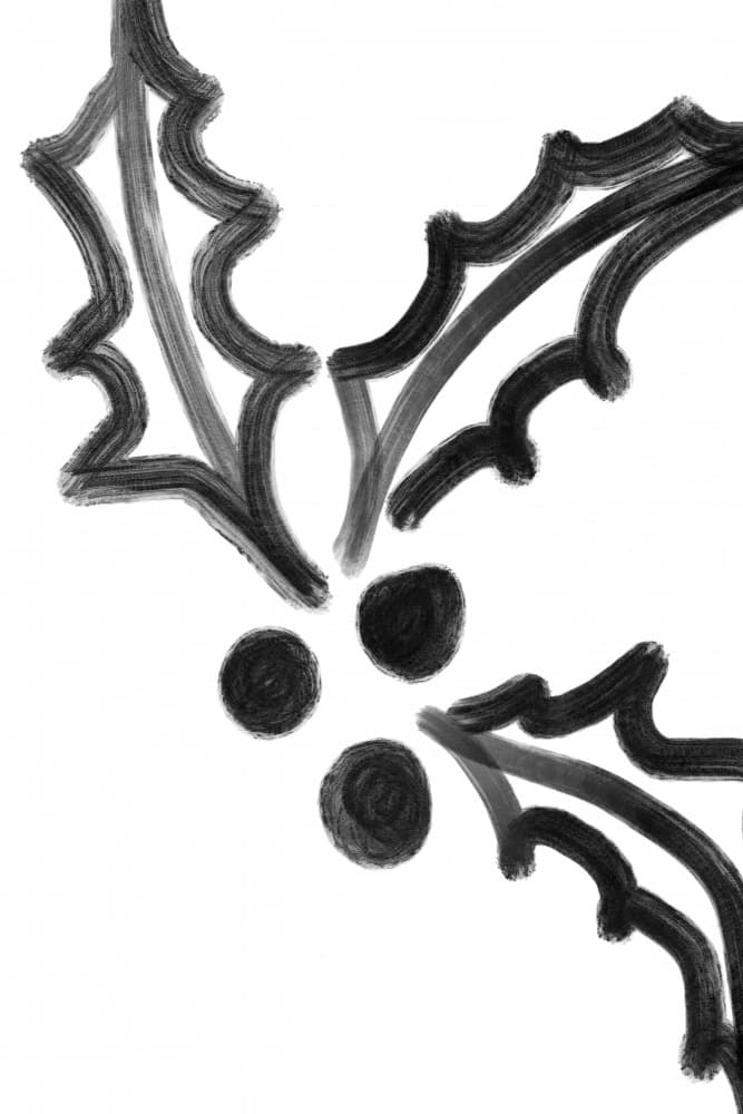 Mistketoe(blackandwhite) by Treechild — canvas wall art