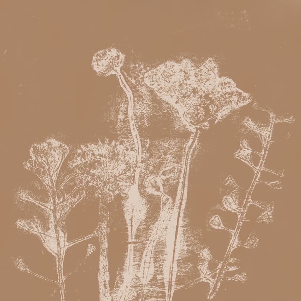 Beige summer flowers by Dina Dankers — canvas wall art