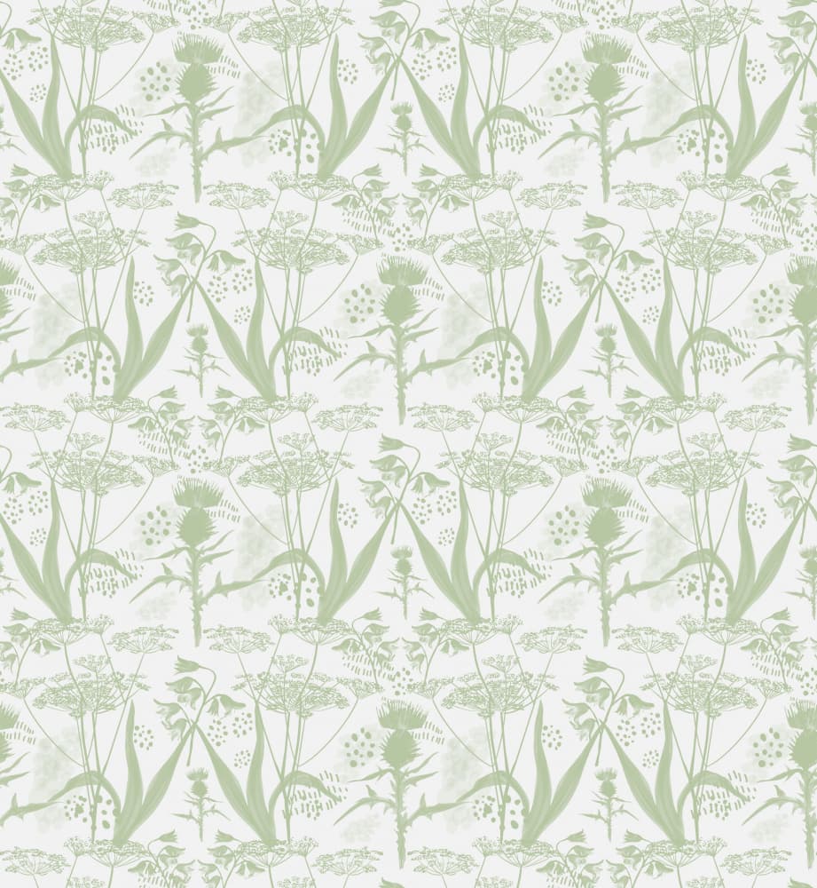 Green Botanical Thistle Pattern by Charlotte Trudgett — canvas wall art