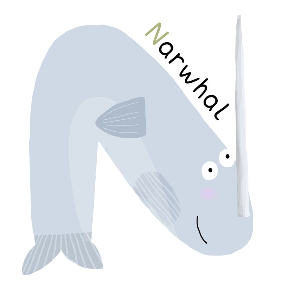 N for Narwhal by Carla Daly — canvas wall art