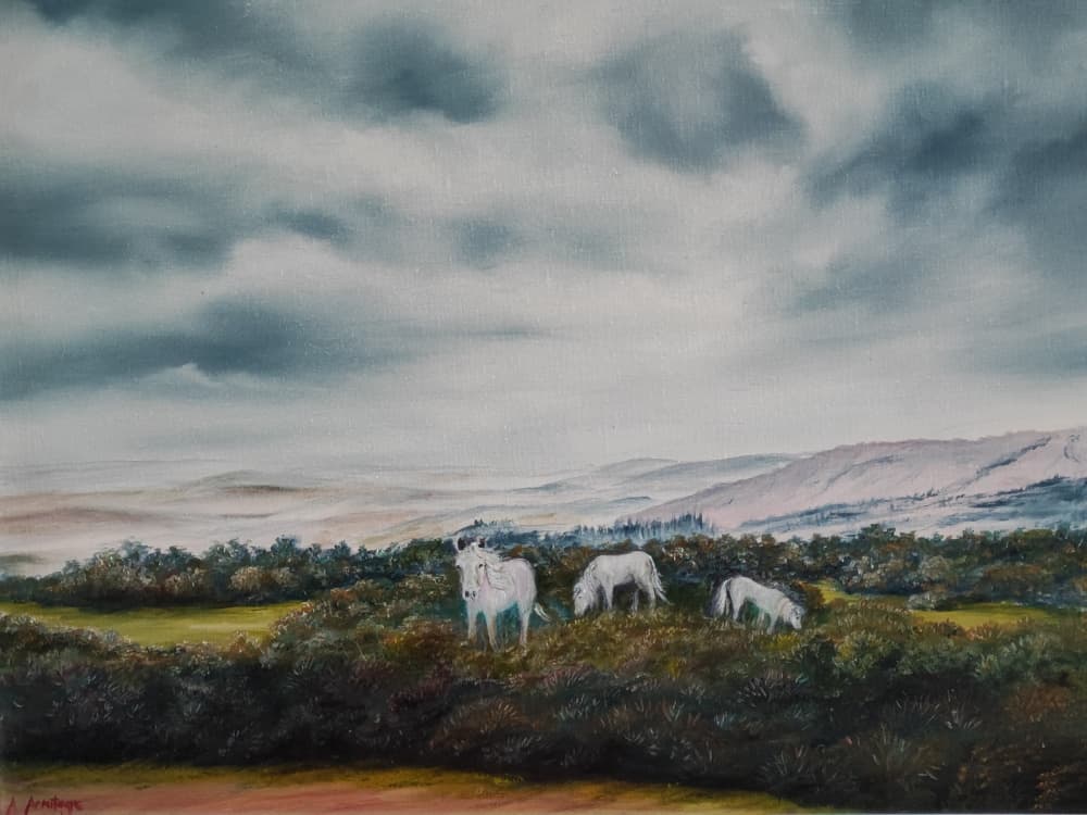 Serene Moorland Ponies by Annette Armitage — canvas wall art
