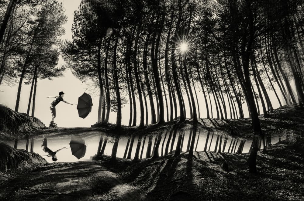 Reflected Forest Umbrella by Desislava Ignatova — canvas wall art