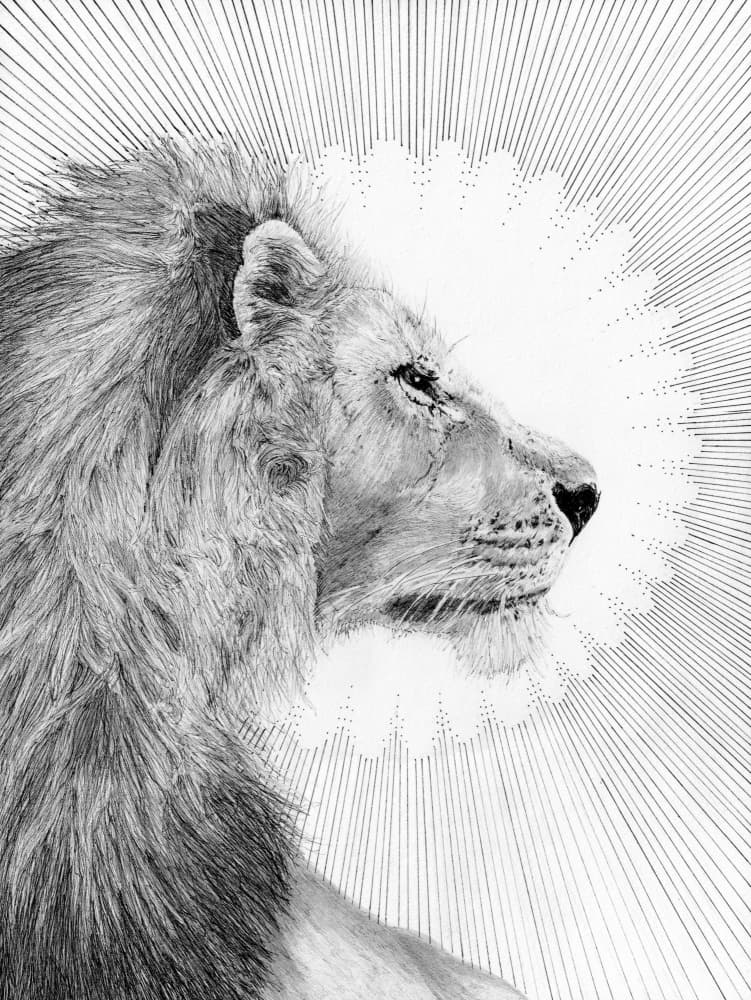 Regal Lion Profile by EC Mazur — canvas wall art
