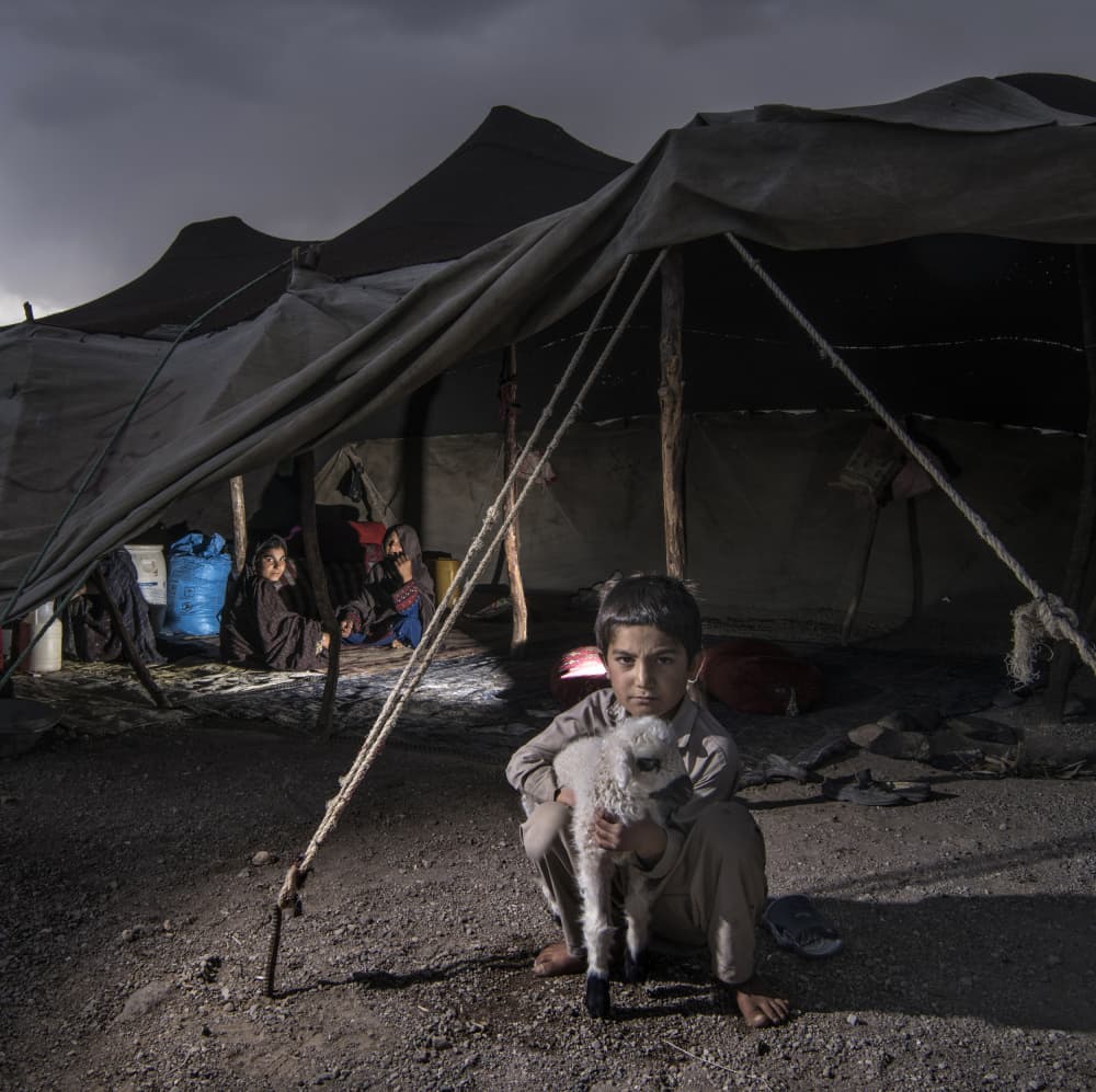 Child and Lamb Shelter by Abbas Arabzadeh — canvas wall art