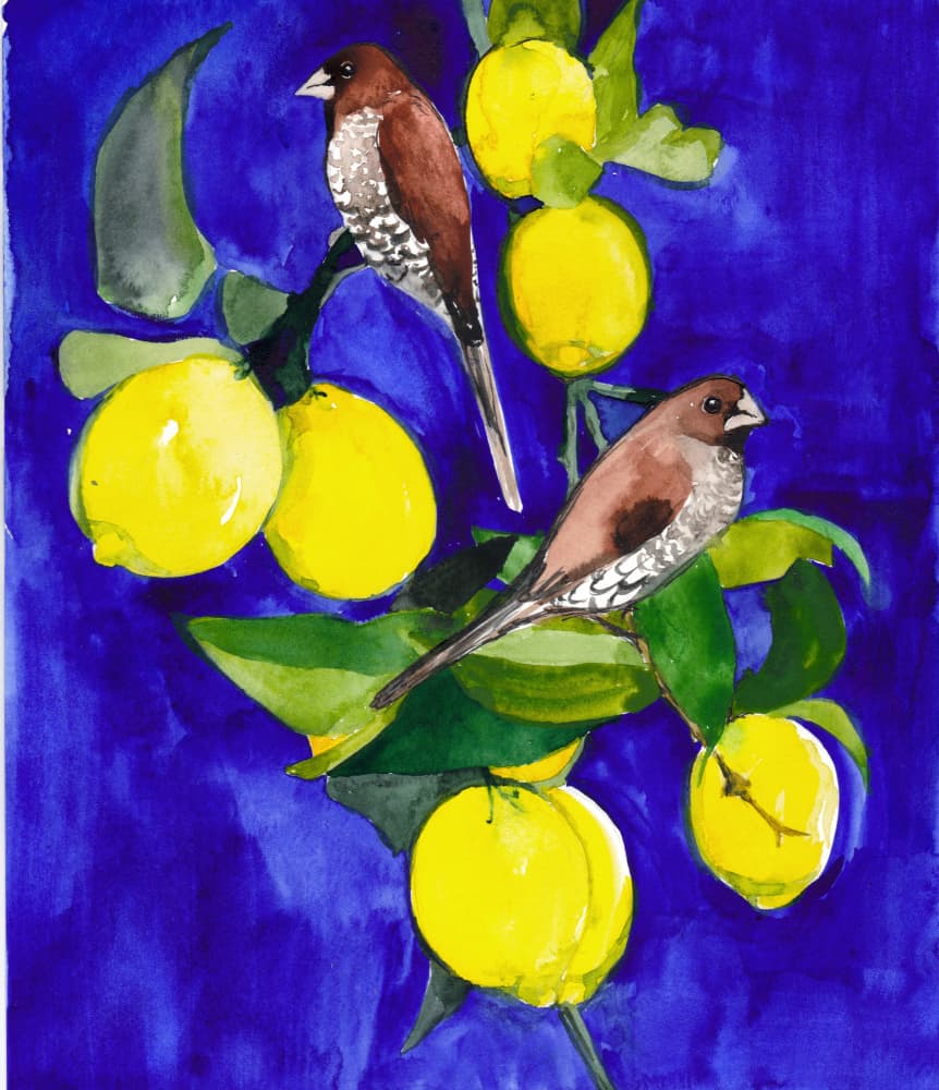 Finches on Lemon Branch by Christine Lindstrom — canvas wall art