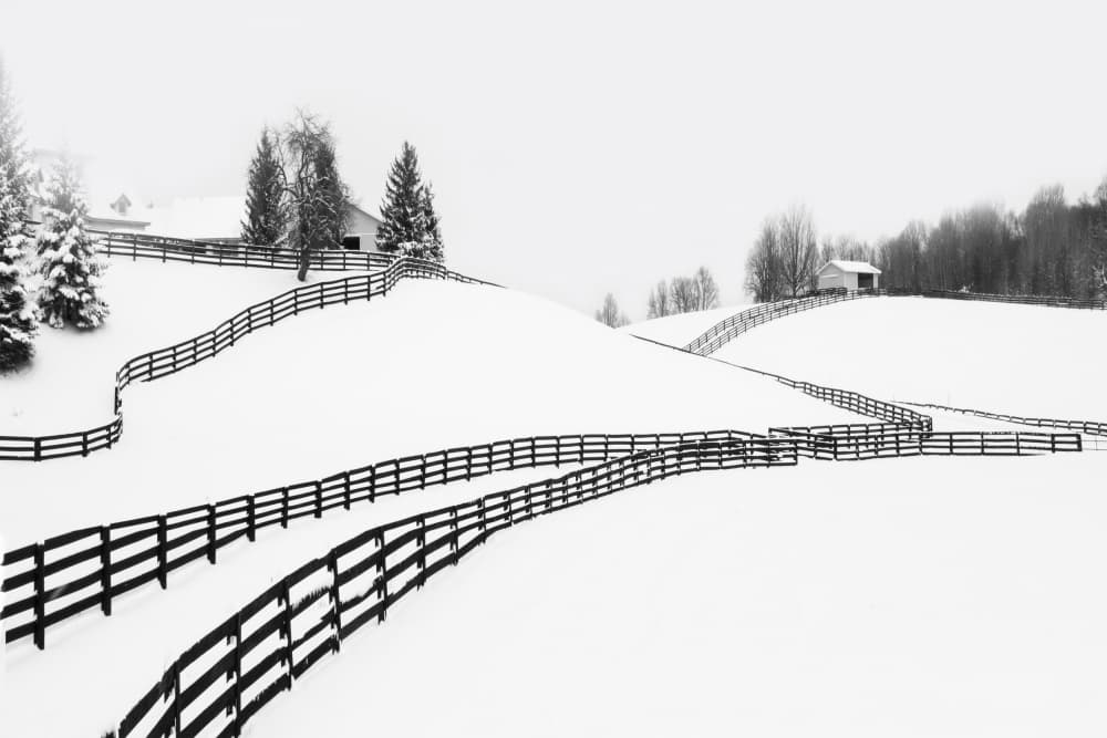Winding Winter Fences by Emma Zhao — canvas wall art
