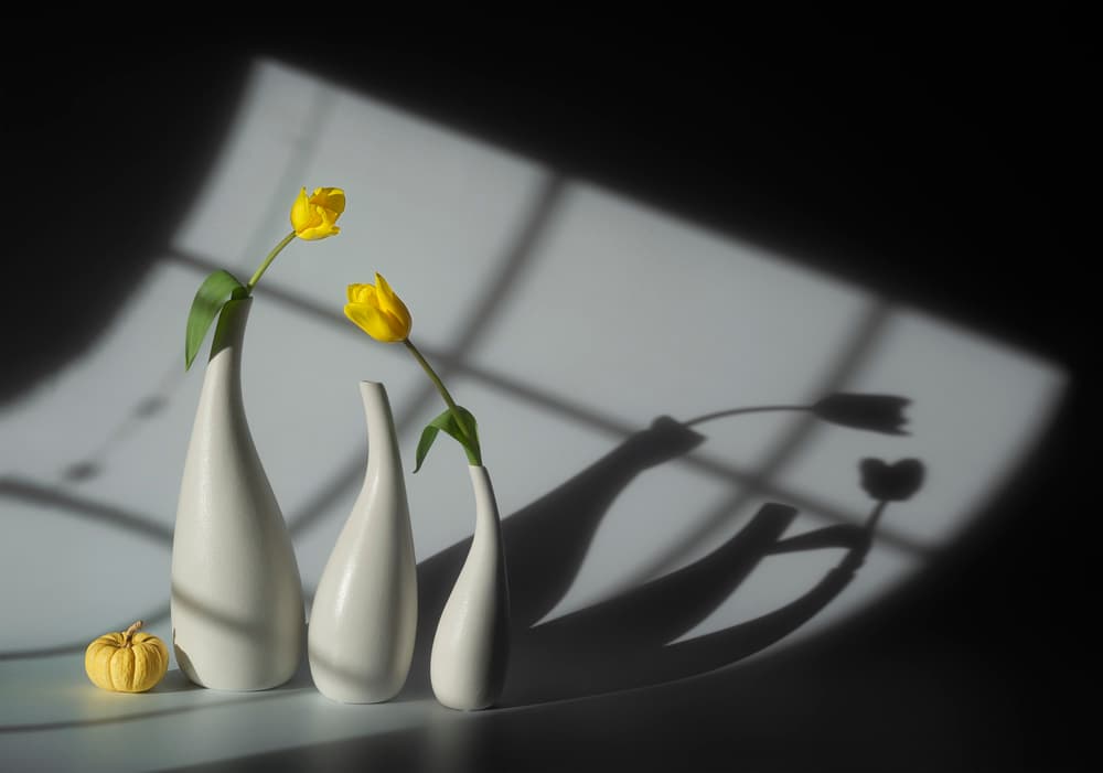 Sunlit Tulips and Shadows by Lydia Jacobs — canvas wall art