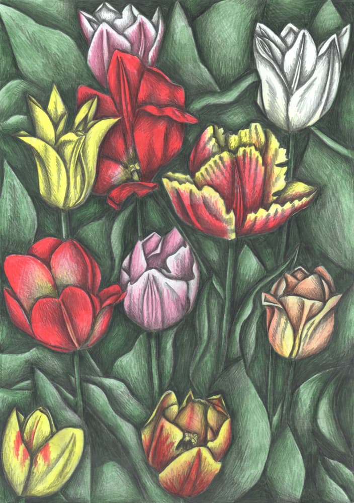 Vibrant Tulip Garden by Cecilia Battaini — canvas wall art