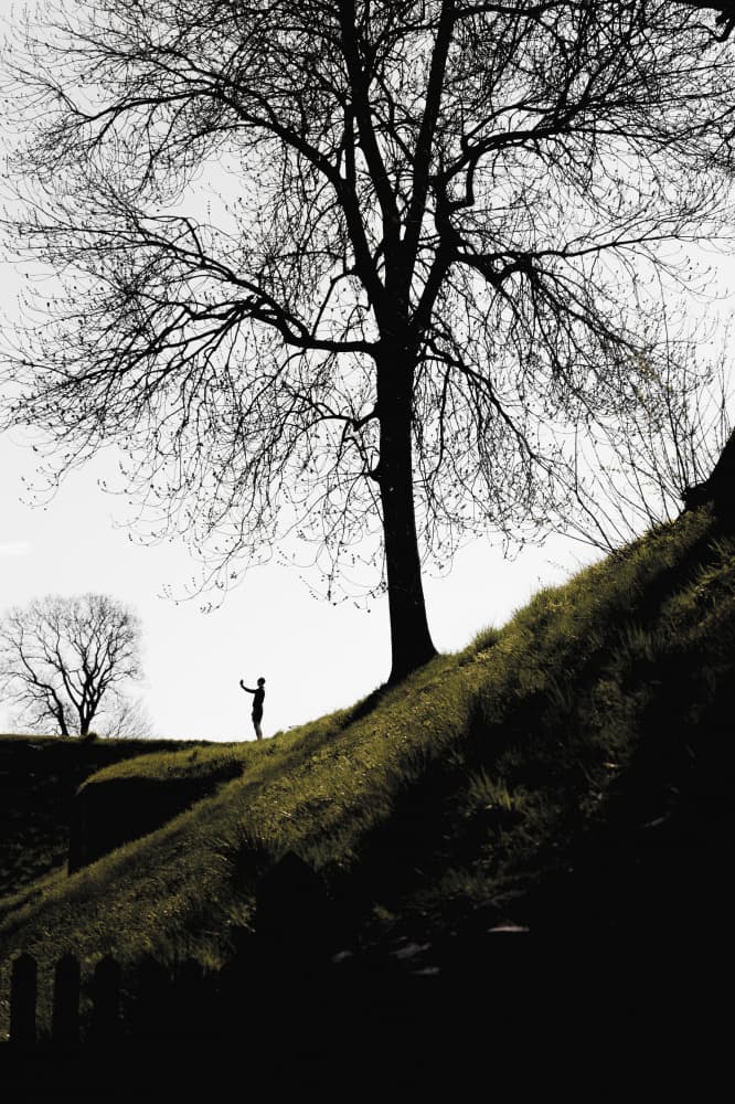 Solitary Man Under Bare Tree by Theodor Gerhamn — canvas wall art