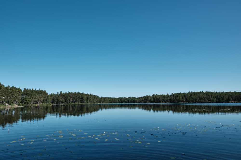 Serene Forest Lake by Geertjan Plooijer — canvas wall art