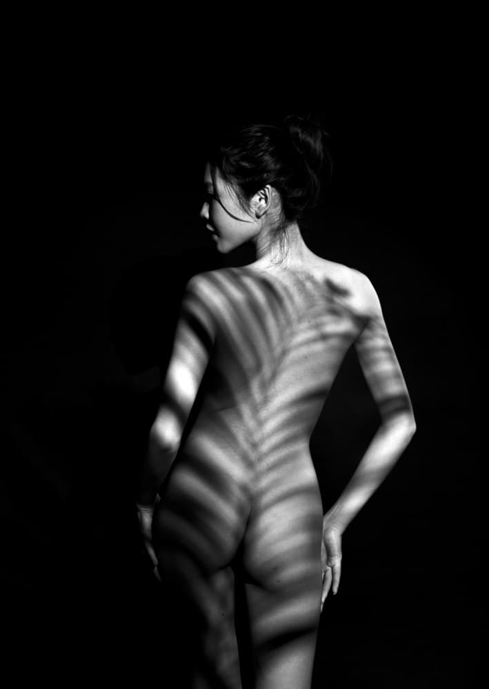 Bare Back Palm Shadows by Tran Van Truong — canvas wall art